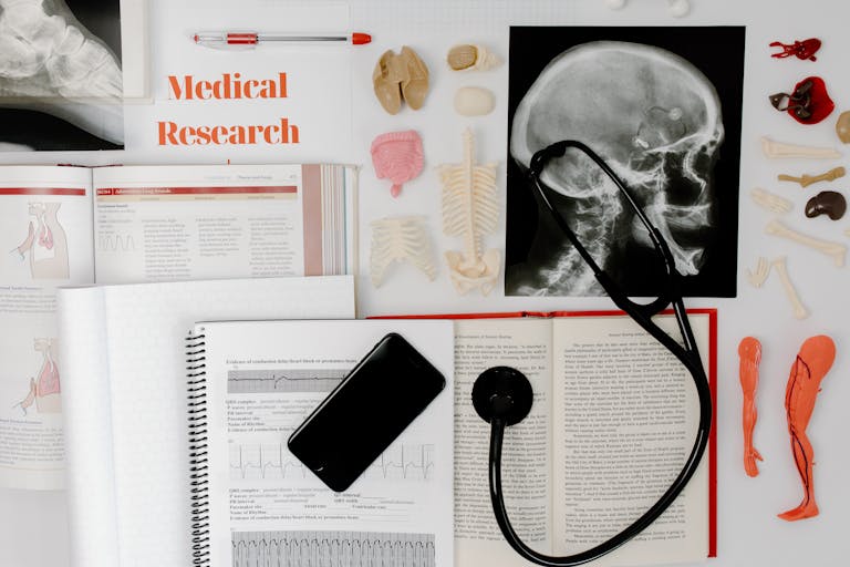 Flat lay of medical research materials with a stethoscope and anatomical models.